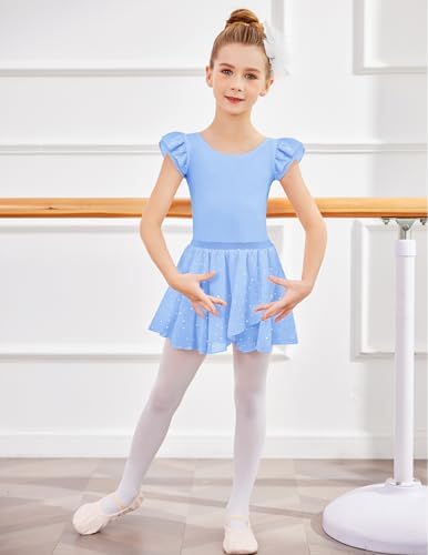 Zaclotre Girls Ballet Leotards Toddler Ruffle Sleeve Bow Back Dance Outfits Leotard With Removable Shinny Skirt Combo