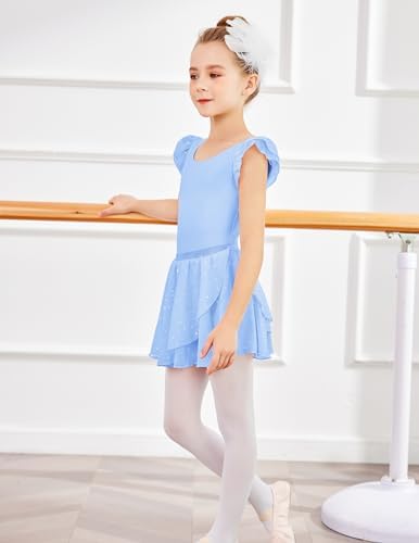 Zaclotre Girls Ballet Leotards Toddler Ruffle Sleeve Bow Back Dance Outfits Leotard With Removable Shinny Skirt Combo
