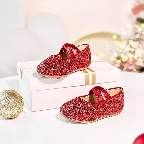 Felix & Flora Toddler Girl Dress Shoes - Flower Girl Ballet Mary Jane Flats Party School Wedding