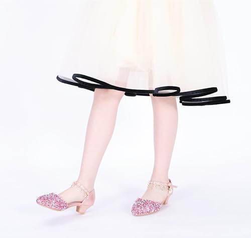 Little Kids Girls Dress Pumps Glitter Sequins Princess Low Heels Mary Jane Party Dance Shoes Rhinestone Sandals