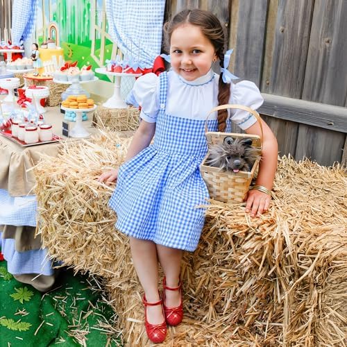 Osinnme Girls Dress Shoes Princess Shoes Sparkle Toddler High Heels Wedding Party Prom Footwear Cute Flower Mary Jane Pumps For Little Kids