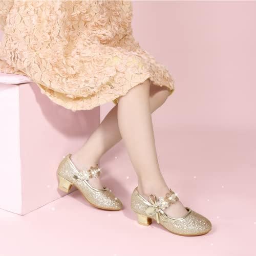 PANDANINJIA Girls Dress Shoes Kids Toddler Heels Pumps Flower Girl Mary Jane School Wedding Party Princess Shoes