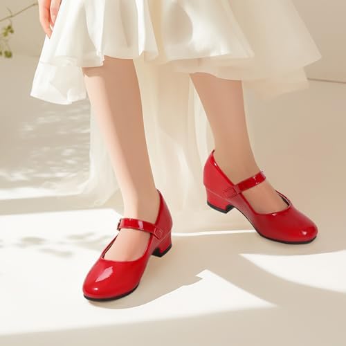 PANDANINJIA Girls Dress Shoes Toddler Little Big Kid Chunky Heels Wedding Party School PNEMY Flower Girl Shoes