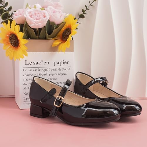 Youdesney Girls Dress Shoes Mary Jane Flower Girls Shoes Cute Princess Low Heels For School Wedding Party (Toddler/Little Kids/Big Kids)
