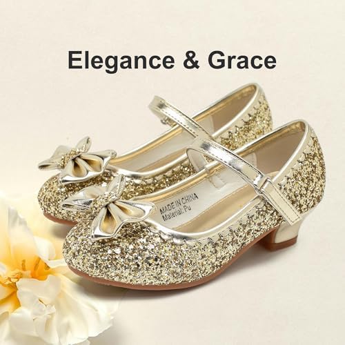 Youdesney Girls Dress Shoes Mary Jane Sparkly Flower Girls Pumps Cute Princess Low Heels For School Wedding Party (Toddler/Little Kids/Big Kids)