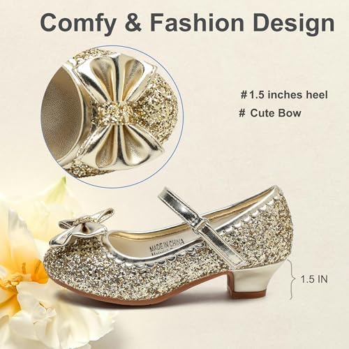 Youdesney Girls Dress Shoes Mary Jane Sparkly Flower Girls Pumps Cute Princess Low Heels For School Wedding Party (Toddler/Little Kids/Big Kids)