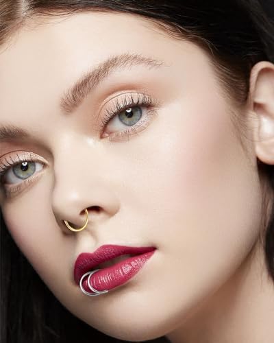 12Pcs 20G Fake Nose Rings Fake Septum Nose Ring Hoop For Faux Lip Septum Nose Ring Set Stainless Nose Hoop For Women Men