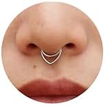 16G Titanium Septum Rings Double Septum Jewelry Daith Piercing Jewelry Silver Gold Hinged Segment Helix Clicker Piercing Jewelry 8 mm 10 mm Seamless Ring Hypoallergenic Jewellery for Her