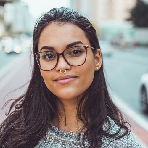 2Pcs Fake Septum Rings For Women Men Surgical Steel Non Piercing Nose Septum Rings Fake Nose Piercing Jewelry