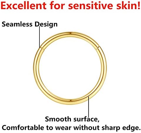 316L Surgical Steel Nose Rings Hoop Septum Clicker Hinged Segment Ring Lip Ear Piercing Earrings For Cartilage Helix Tragus Conch Rook 20g 18g 16g 14g 12g 10g 8g Inner Diameter 5mm To 22mm