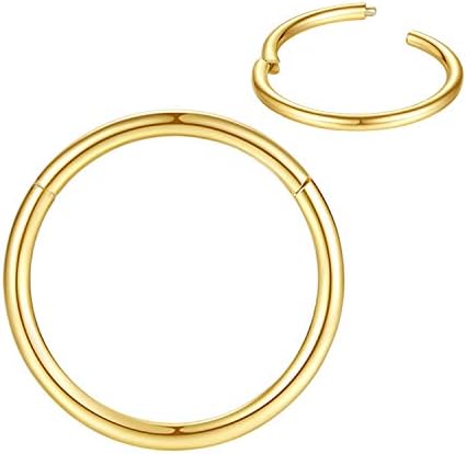 316L Surgical Steel Nose Rings Hoop Septum Clicker Hinged Segment Ring Lip Ear Piercing Earrings for Cartilage Helix Tragus Conch Rook 20g 18g 16g 14g 12g 10g 8g Inner Diameter 5mm to 22mm