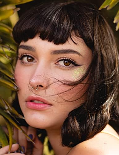 4-6PCS Fake Nose Ring Fake Septum Ring Magnetic Nose Ring Magnetic Septum Nose Ring Magnet Septum Piercing Fake Piercings Faux Nose Rings For Women Men Clip On Nose Ring Non Piercing