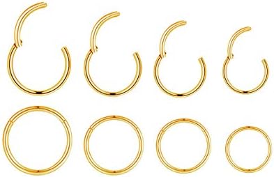 4Pairs/Pcs 18G Surgical Steel Hinged Clicker Segment Nose Rings Hoop Helix Cartilage Daith Tragus Sleeper Earrings Body Piercing for Women Men 6mm 8mm 10mm 12mm