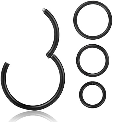 4Pcs 16G 18G 20G Surgical-Steel-Piercing-Ring-Nose-Rings-Hinged-Hoop-Earrings 6mm 8mm 10mm 12mm Seamless Stainless Steel Clicker Eyebrow Septum Piercing Hoop Sliver Black Gold Rose Gold Rainbow Body Jewelry Set