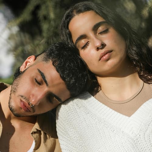 6-10 Pcs Nose Rings Hoops Nose Piercings Nose Piercing Jewelry Fake Nose Ring Fake Septum Double Hoop Nose Ring Lip Nose Rings For Women Clip On Helix Cartilage Hoop Earrings Nose Cuffs