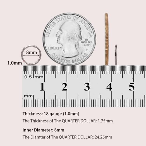 FANSING Men Women 316L Surgical Steel Hinged Nose Rings Hoop For Nostril Septum Cartilage Helix Daith Tragus Rook Conch Lip Ear Lobe Piercings