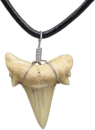 Natural Shark Tooth Necklace for Men Genuine Fossil Shark Teeth Cool Sharktooth Beach Necklaces for Women Beachy Surfer Choker Jewelry