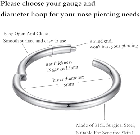 ORANGELOVE Hypoallergenic Nose Rings 20G 18G 16G 14G 12G 10G 8G 316l Surgical Steel Septum Jewelry Hinged Segment Ring Body Piercing Nose Hoop Lip Rings Nose Helix Cartilage Rook Earrings