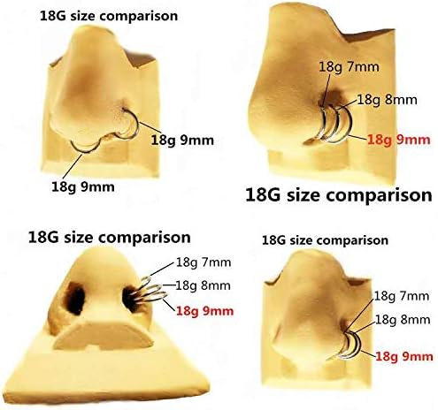 ORANGELOVE Hypoallergenic Nose Rings 20G 18G 16G 14G 12G 10G 8G 316l Surgical Steel Septum Jewelry Hinged Segment Ring Body Piercing Nose Hoop Lip Rings Nose Helix Cartilage Rook Earrings