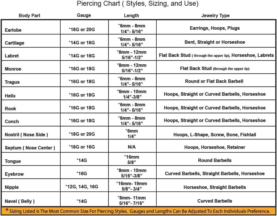 PunkTracker 16g/18g Surgical Steel Internal Thread CZ Stud Piercing Jewelry For Tragus/Nose/Helix/Conch/Medusa/Lip/Labret - Helix Tragus Cartilage Earring For Women Men 2PCS