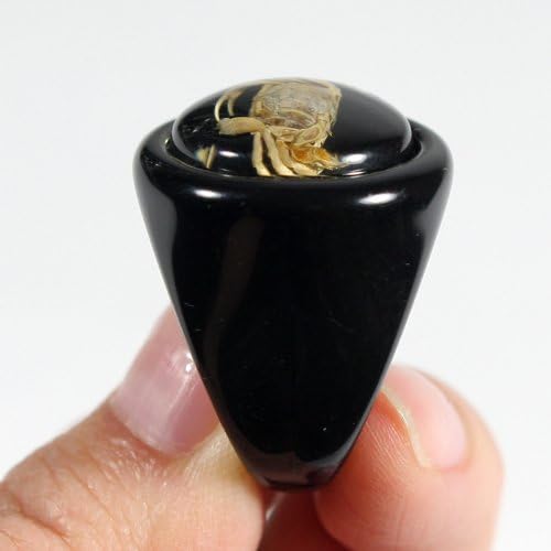 REALBUG Crab Black Ring Size 8