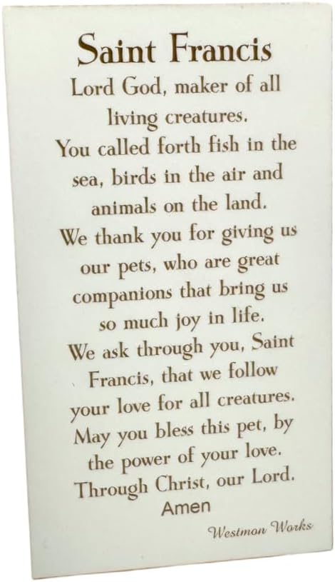 Westmon Works St Francis Medal Set With Wallet Sized Prayer Card And Metal Saint Trinket Made In Italy