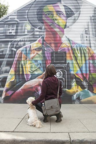 Travelon Anti-Theft Courier Tour Bag