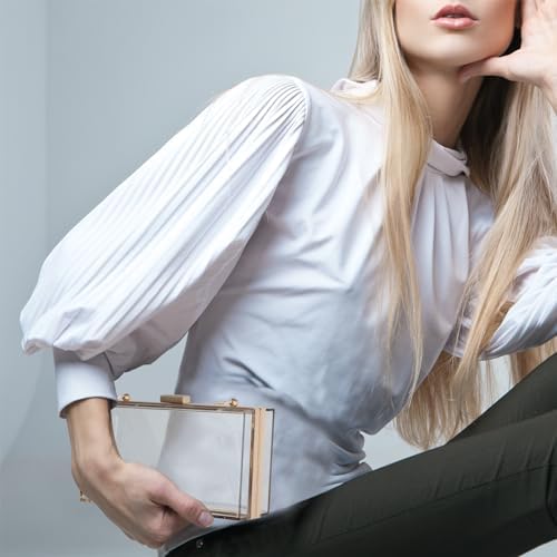 WJCD Women Clear Purse Acrylic Box Clutch Handbag Small Transparent Crossbody Evening Bag Stadium Approved Gold Chain Strap