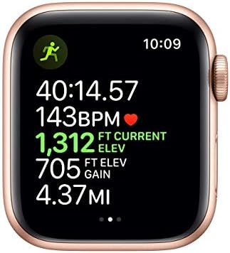 Apple Watch 系列 5(GPS 40MM) - 金色铝制表壳带粉色沙运动表带(续订)