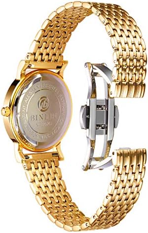 BINLUN Ultra Thin Mesh Stainless Steel Watch Band Light Watch Strap Polished Watch Bracelets Replacement 12mm/14mm/16mm/18mm/20mm/22mm For Men Women With Butterfly Buckle