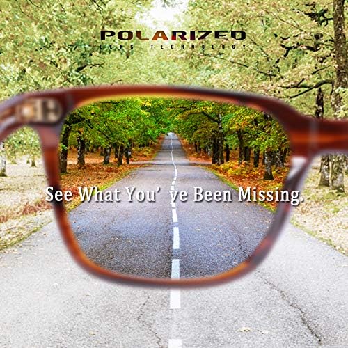 CARFIA Polarized Men's Sunglasses UV400 Protection For Driving Fishing Cool Man Acetate Shades CA5354L