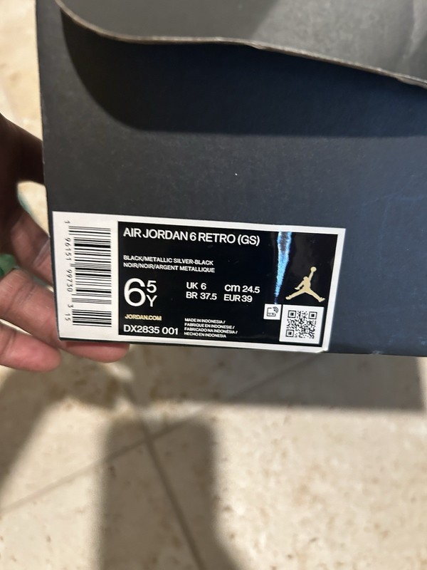 Air Jordan 6
