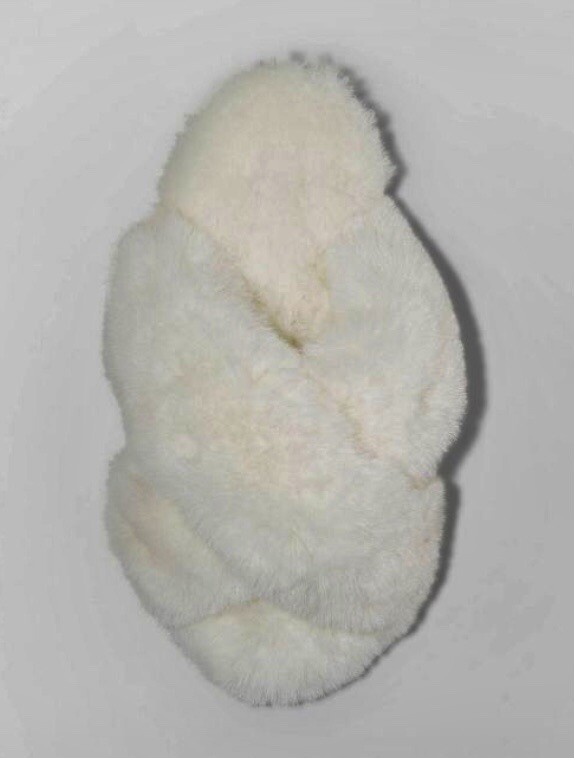 Girls' Brooklyn Slide Fuzzy Slippers Cream - Cat & Jack - SIZE S (13/1)
