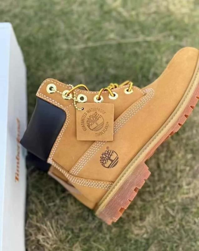 Men's NEW Timberland Premium 6-Inch Waterproof Boot Wheat TB010061713 Sz 7-11