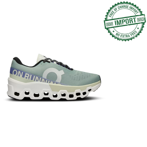 Women's On Cloudmonster 2 Training Shoe New - Mineral Aloe
