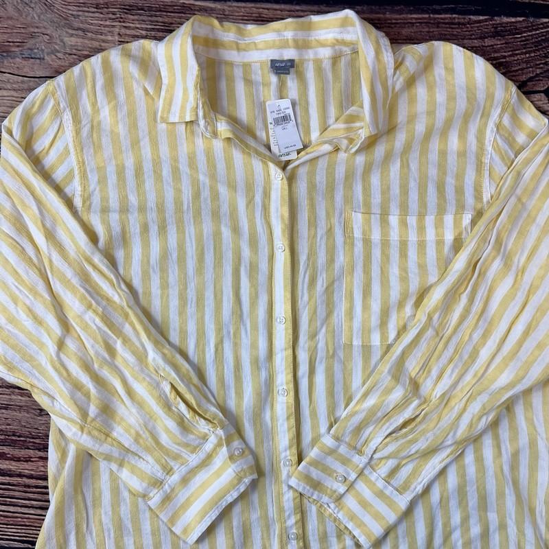 Aerie Women’s Button Down Shirt Sz Large Oversized Yellow & White Stripe NWT Aerie Women’s Button Down Shirt Sz Large Oversized Yellow & White Stripe NWT