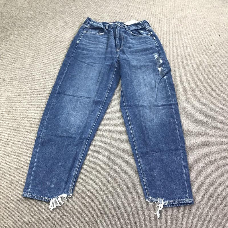 American Eagle Jeans Womens 6 28W Relaxed Mom High Rise Distressed Denim Pants