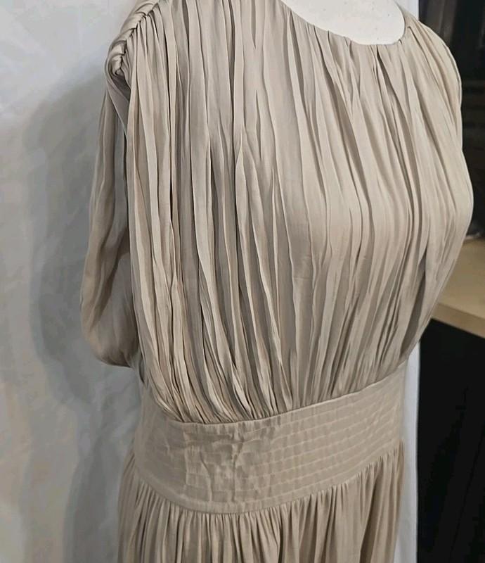 Banana Republic Women's Sleeveless OYSTER PEARL Crystal Pleated Maxi Dress Sz 12