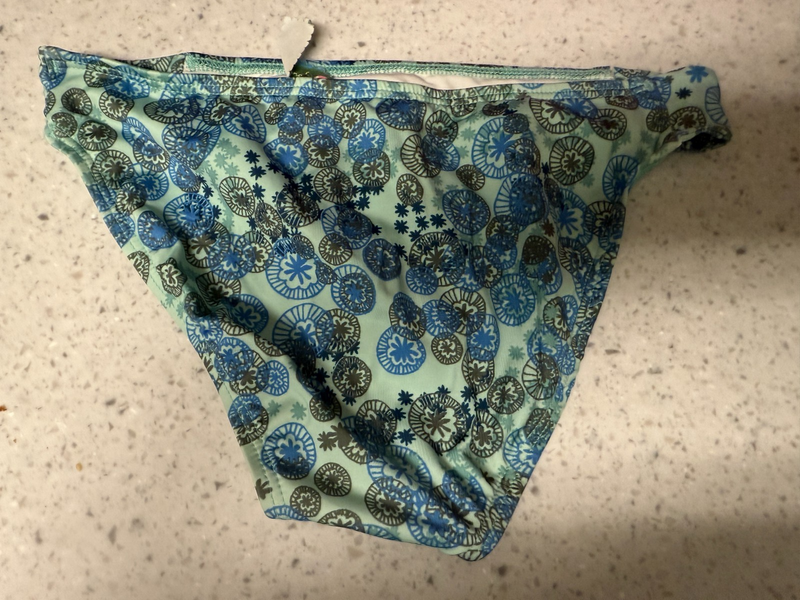 Blue Lined CARVE DESIGNS Swimsuit Bikiini Bottom Size Small