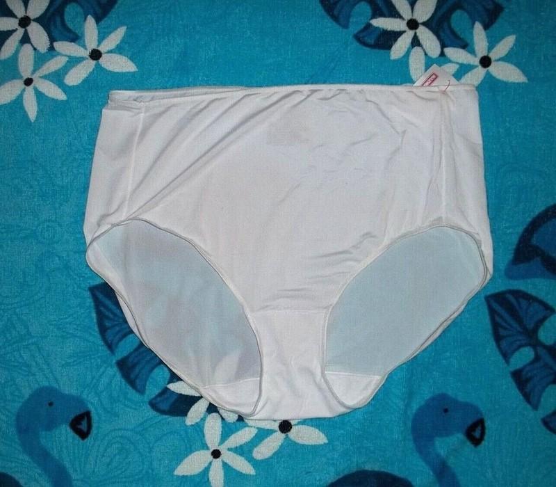 Colors ~ HANES Microfiber BRIEF Panties Size 8 Or 10 NEW