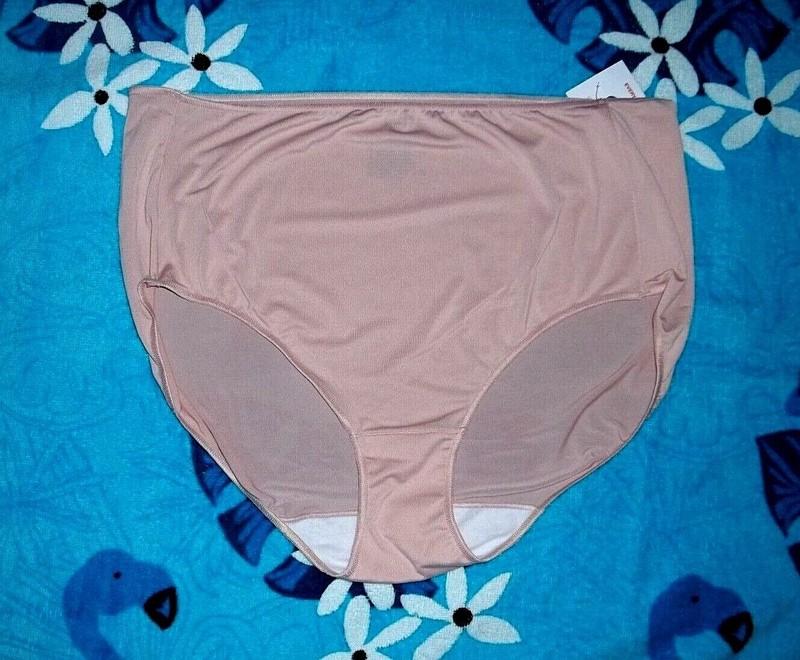 Colors ~ HANES Microfiber BRIEF Panties Size 8 Or 10 NEW