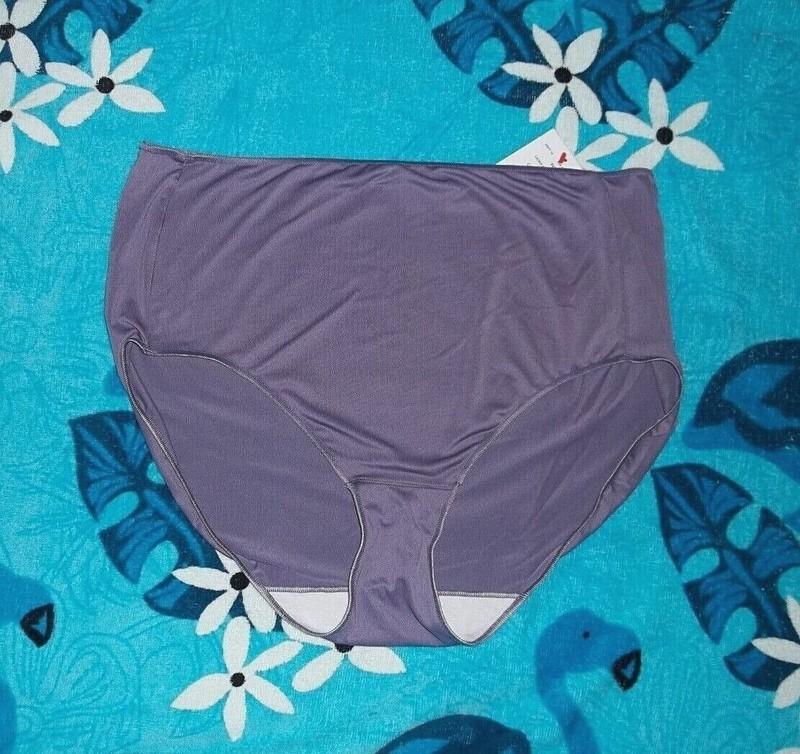 Colors ~ HANES Microfiber BRIEF Panties Size 8 Or 10 NEW