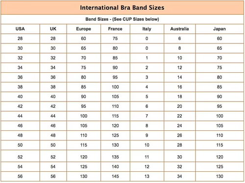 Floral Secrets Comfort Rose Bra New Upgrade Comfort Rose Lift Bra