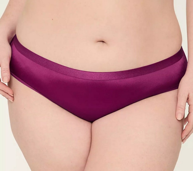 Lane Bryant Sexy Fushia Retro SHINE No-Show Hipster Panty Plus Size 10/12 0X