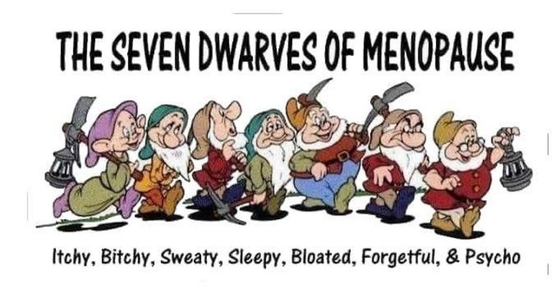 Menopause T-shirt The Seven Dwarves Of Menopause Unisex Sizes S-XL (CUT149)