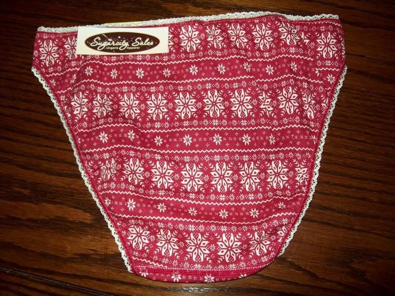 NWT CHARTER CLUB 100% COTTON BIKINI PANTIES RED FAIRISLE M