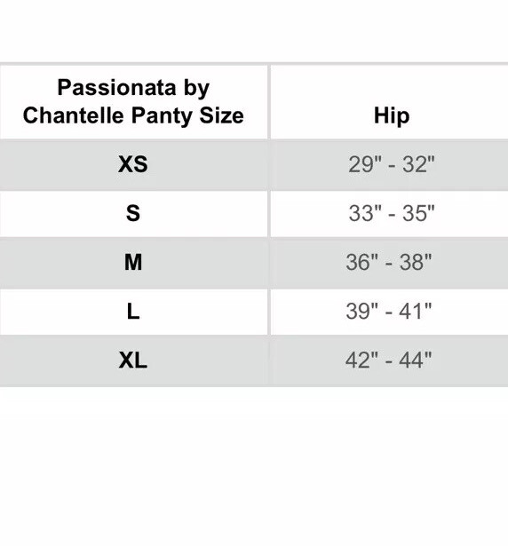 PASSIONATA BY CHANTELLE LACE BRIEF PANTY CHOOSE YOUR SIZE PERFE NEW #5584