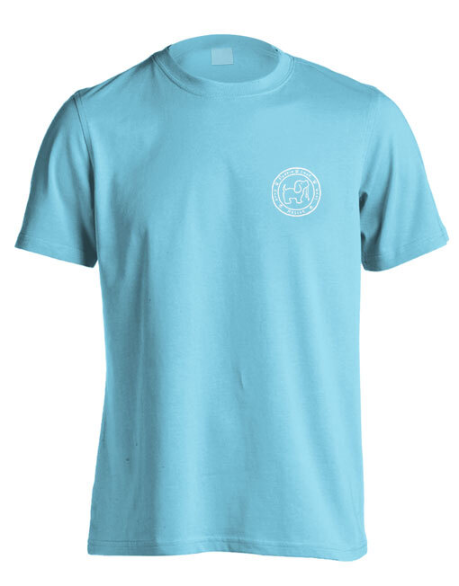 Puppie Love WICKED / WIZARD Of OZ / Good Witch & Bad Witch Pups T-Shirt - NEW