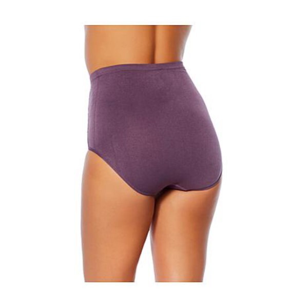 Rhonda Shear Mocha Seamless Lace Trim Retro Style Brief Panty New