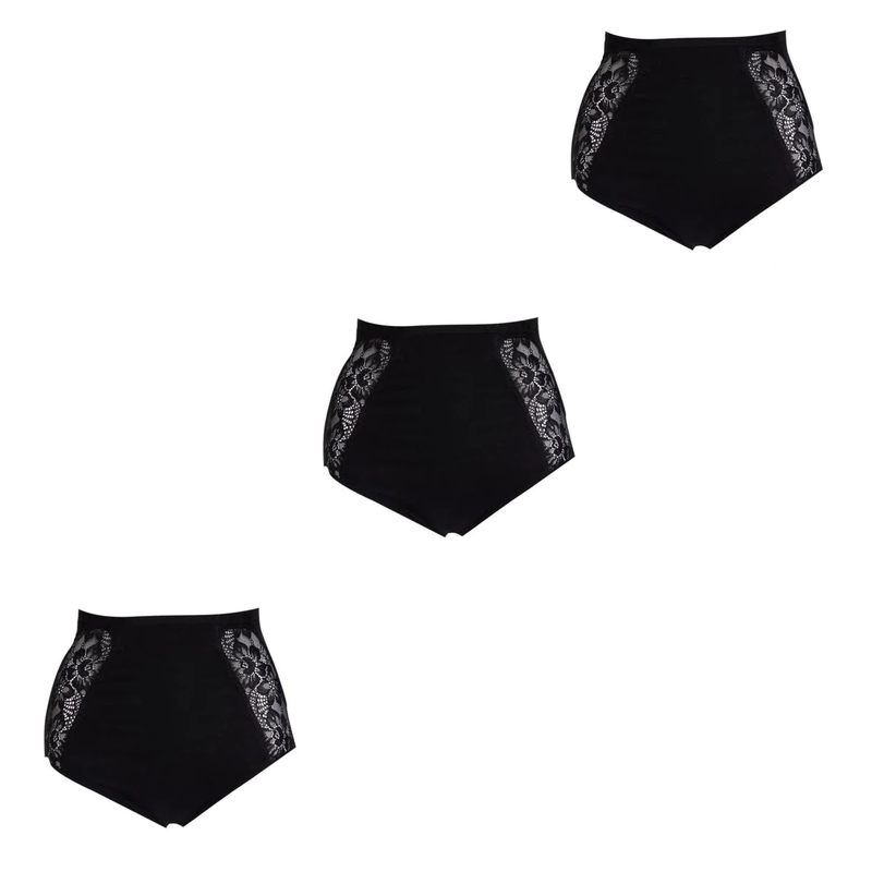 Rhonda Shear Seamless Lace Brief 3-pack 605377-J